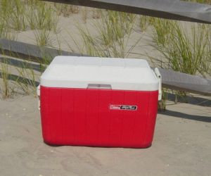 Extra Standard Cooler with Ice